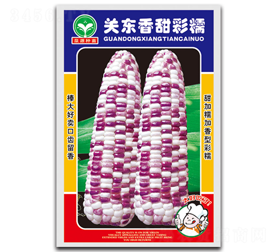關東香甜彩糯-玉米種子-泉源