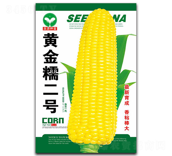 黃金糯二號-玉米種子-泉源