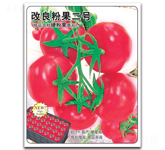 改良粉果二號(hào)-番茄種子-飛歌農(nóng)業(yè)