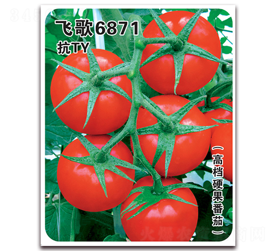 w6871-ѷN-wrI