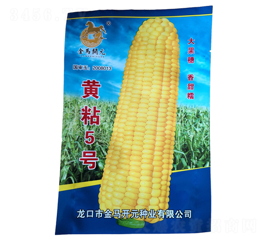 黃粘5號(hào)-玉米種子-金馬開元