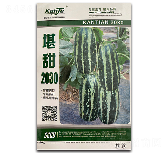 堪甜2030-甜瓜種子-凌廣農(nóng)業(yè)