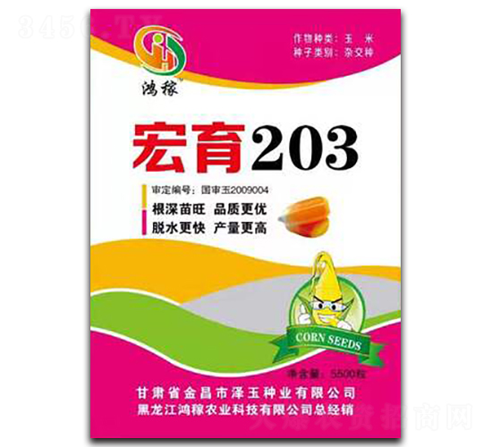宏育203-玉米種子-鴻稼農業