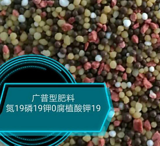 廣普型肥料19-19-0-悅農農業