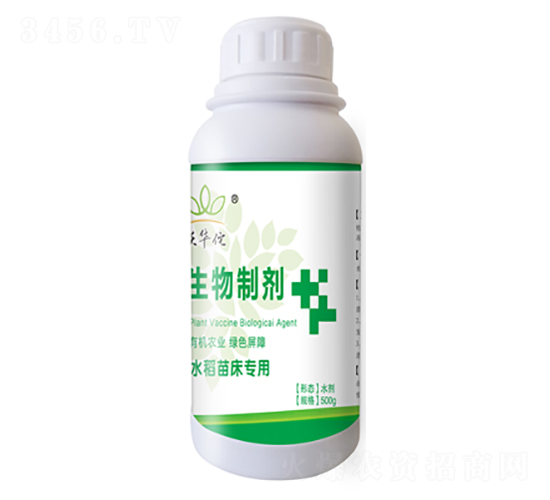 水稻苗床專用生物制劑-沃華佗-漢美農業