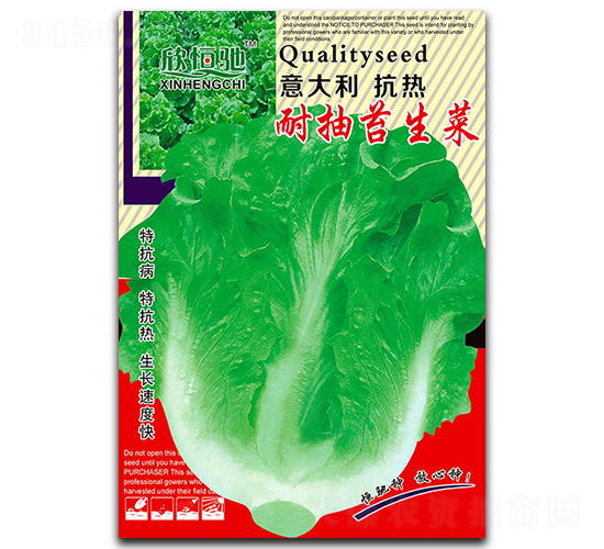 耐抽苔生菜-生菜種子-恒馳種業