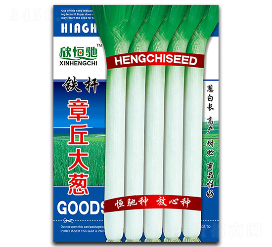 鐵桿章丘大蔥-大蔥種子-恒馳種業