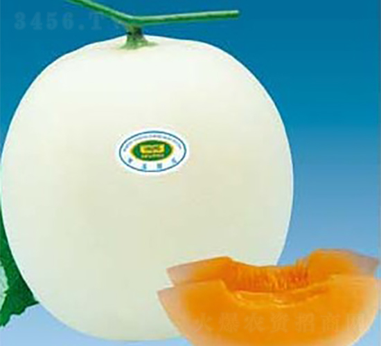 ̖-ϷN-ASNI