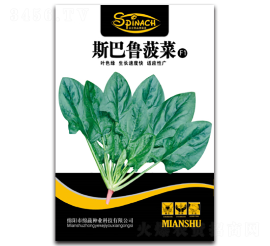 斯巴魯菠菜-菠菜種子-綿蔬種業