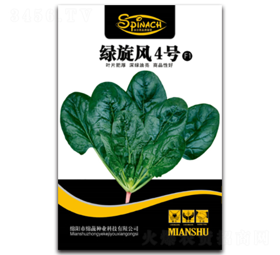 綠旋風4號-菠菜種子-綿蔬種業