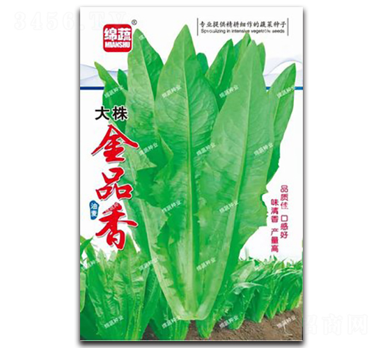 大株金品香油麥-油麥菜種子-綿蔬種業