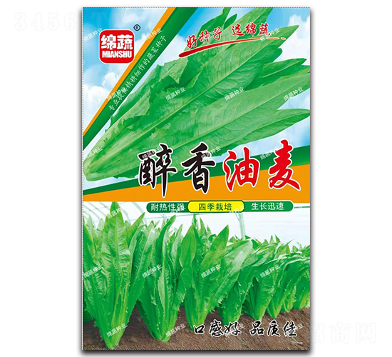 醉香油麥-油麥菜種子-綿蔬種業