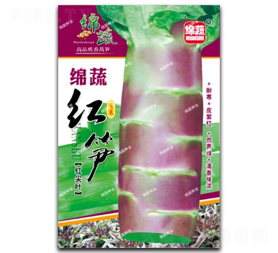 綿蔬紅筍-萵筍種子-綿蔬種業
