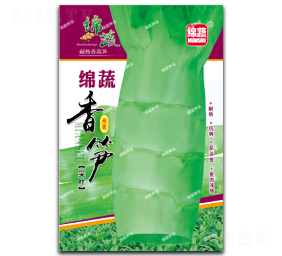 綿蔬香筍-萵筍種子-綿蔬種業