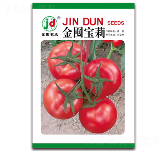 金囤寶莉-番茄種子-金囤農業