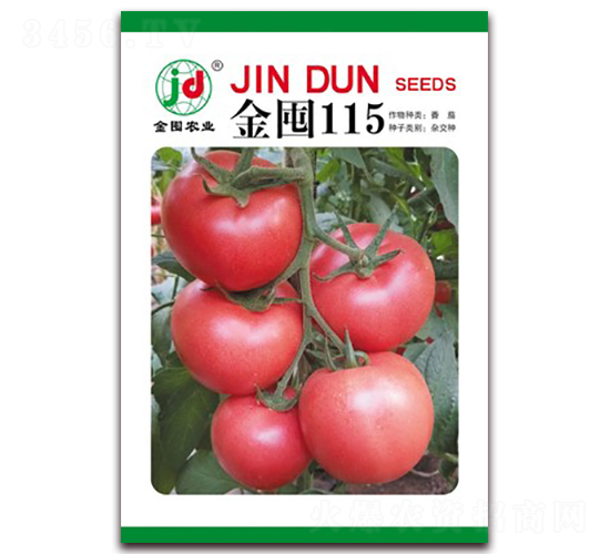金囤115-番茄種子-金囤農業