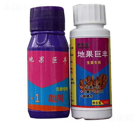 地果巨豐（組合）-施禾寶