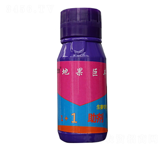 åœ°æžœå·¨è±-æ–½ç¦¾å¯¶