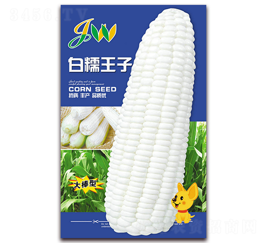 白糯王子-鮮食玉米種子-營(yíng)口君旺