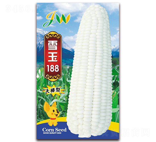 雪玉188-鮮食玉米種子-營口君旺