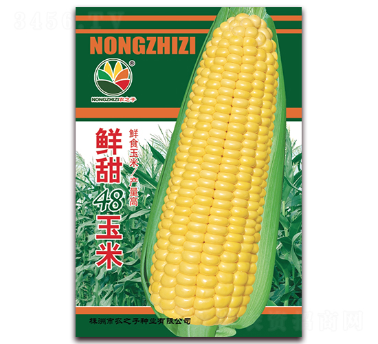 鮮甜48玉米-玉米種子-農(nóng)之子