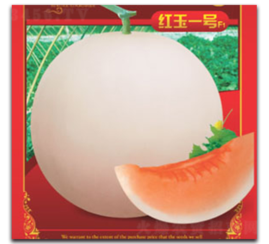 紅玉一號-甜瓜種子-德信盈農(nóng)業(yè)