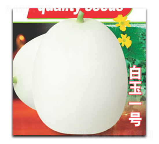白玉一號(hào)-甜瓜種子-德信盈農(nóng)業(yè)