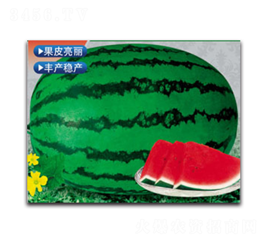 巨抗綠龍-西瓜種子-德信盈農(nóng)業(yè)