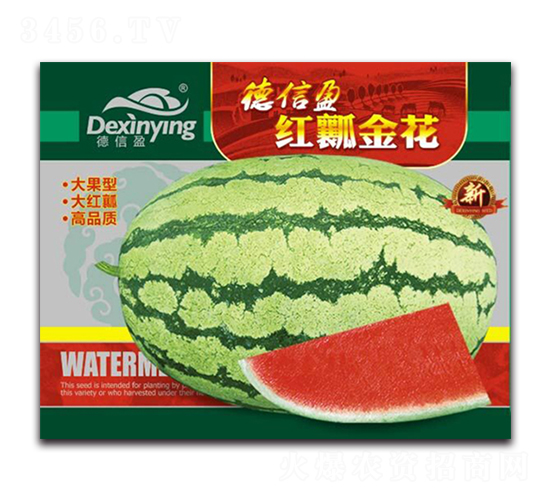 紅瓤金花-西瓜種子-德信盈農(nóng)業(yè)