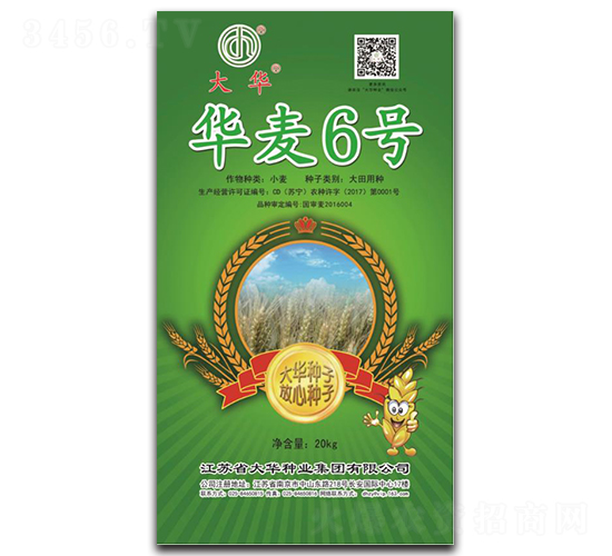 華麥6號-小麥種子-大華種業
