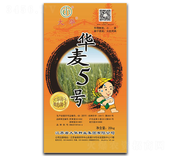華麥5號-小麥種子-大華種業