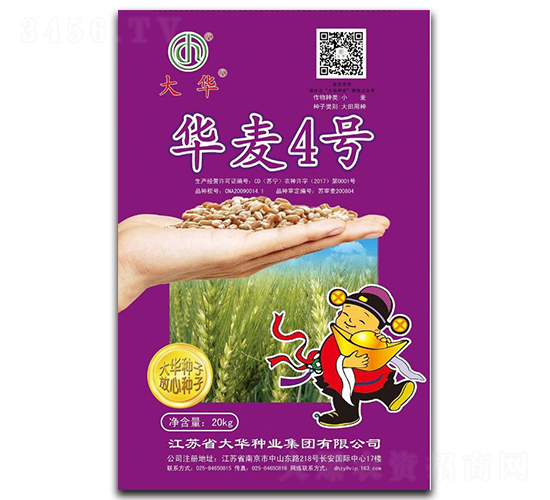 華麥4號-小麥種子-大華種業(yè)