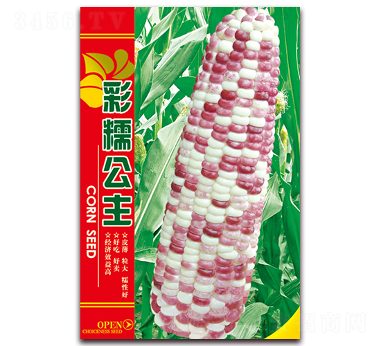 彩糯公主-糯玉米種子-天星種業