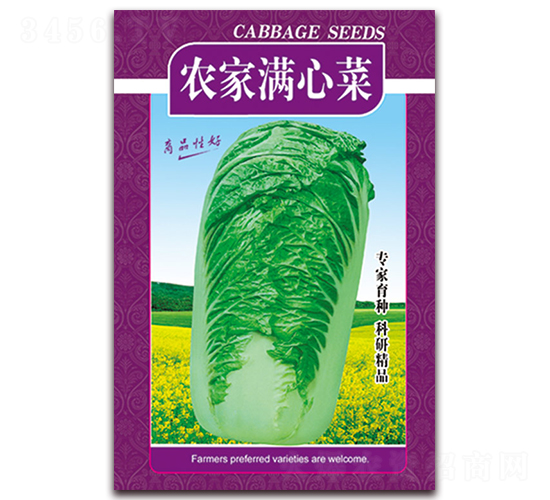 農家滿心菜-白菜種子-天星種業