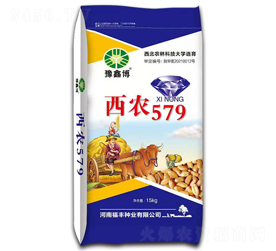 西農579（15kg）-小麥種子-豫鑫博