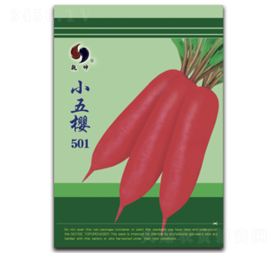 小五櫻501-蘿卜種子-乾坤種業(yè)