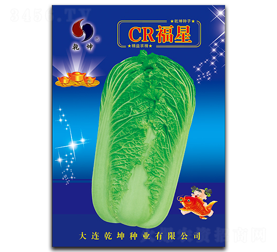 CR福星-白菜種子-乾坤種業
