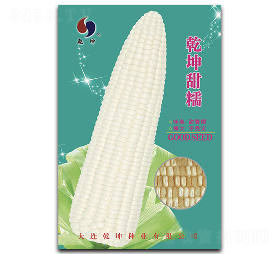 乾坤甜糯-玉米種子-乾坤種業