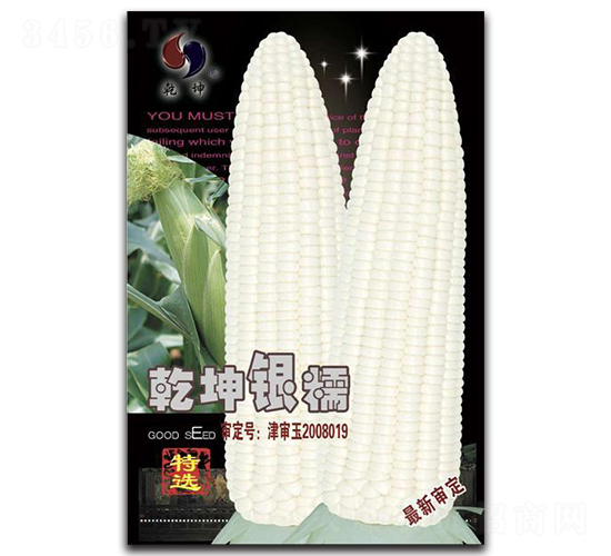 乾坤銀糯-玉米種子-乾坤種業