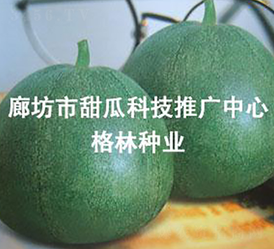 ʮһ-ϷN-NI