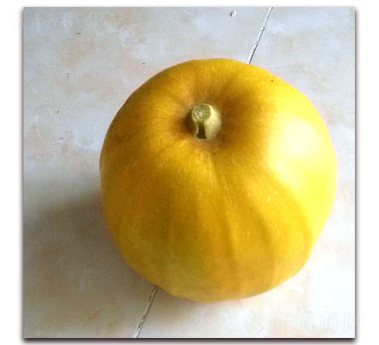 ʮ-ϷN-NI