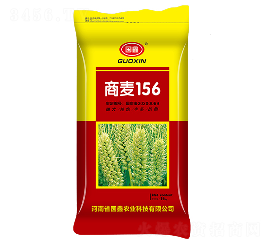 15kg商麥156-小麥種子-豫神農業