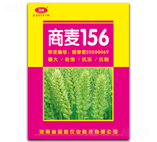 商麥156-小麥種子-豫神農業