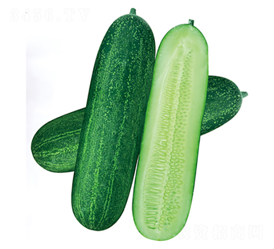 Gʿ̖-ϷN-