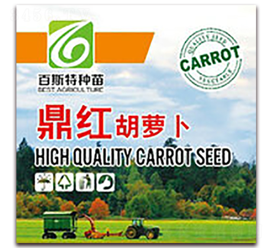 鼎紅-胡蘿卜種子-百斯特