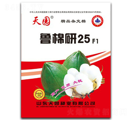 魯棉研25號-棉花種子-天園種業