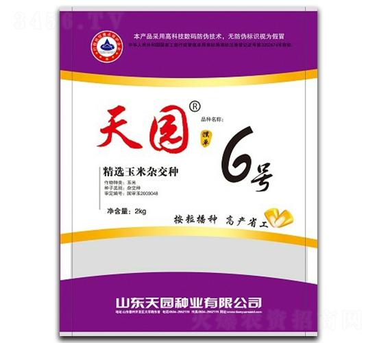 天園6號-玉米種子-天園種業