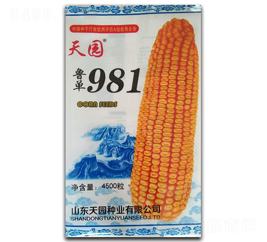 魯單981-玉米種子-天園種業