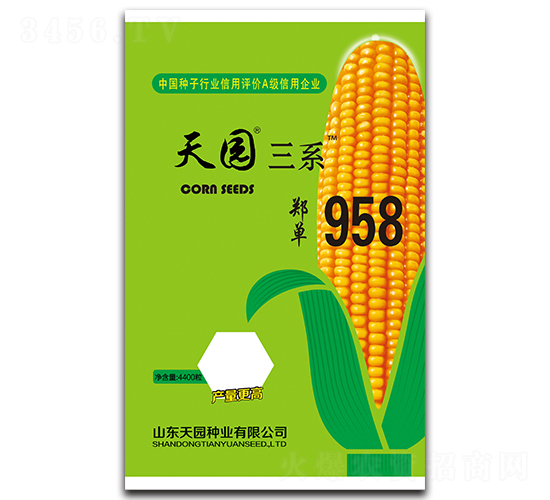 鄭單958-玉米種子-天園種業