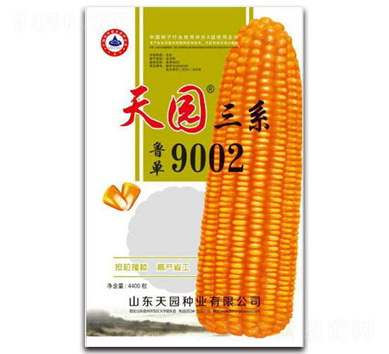 魯單9002-玉米種子-天園種業